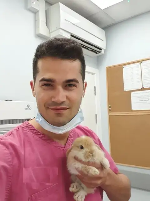 George Circiuleanu, veterinary surgeon, smiling in a consulting room while holding a small rabbit.